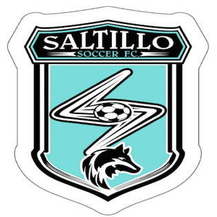 Saltillo Soccer